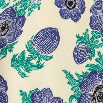 purple poppy