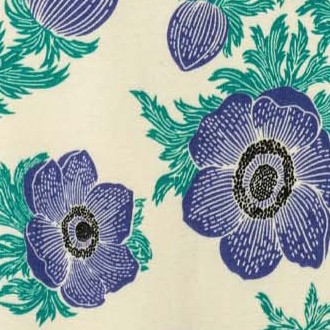 purple poppy