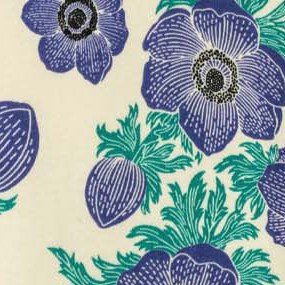 purple poppy