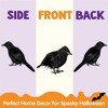 Joyfy 6 Pcs Black Crows Halloween Party Favors, Fake Bird Props for Haunted House Cemetery Yard Table, Tree Wall Window Indoor Outdoor Decor Supplies - 2 of 4