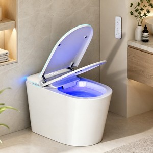 Dyonery Smart Toilet with Automatic Lid Opening, Built-in Bidet, Warm ...