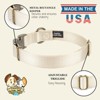 Country Brook Petz Premium Nylon Dog Collar with Metal Buckle for Small Medium Large Breeds - Vibrant 30+ Color Selection - 4 of 4