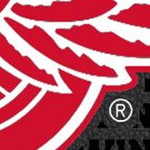 detroit red wings