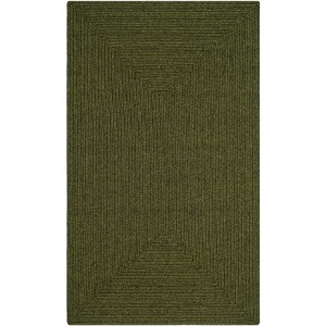 Braided BRD315 Hand Woven Area Rug - Safavieh - 1 of 4