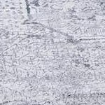 gray ivory