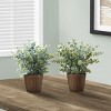 TopComfy Artificial Trees 13in Tall Artificial Eucalyptus Grass Mini Eucalyptus Plant Fake Eucalyptus Tree Tabletop for Home, Green, 11.5"*11.5"*12.5" - 2 of 4