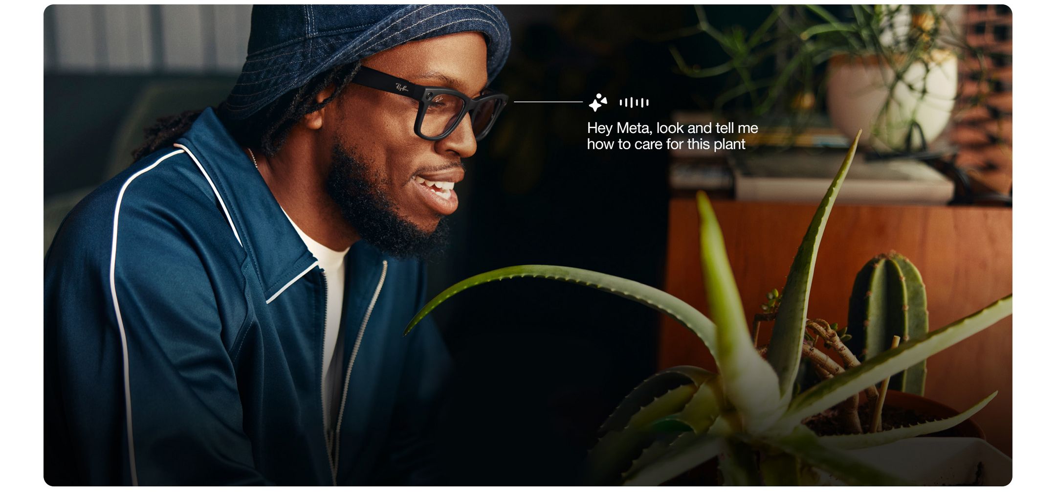 Hey Meta, look and tell me how to care for this plant