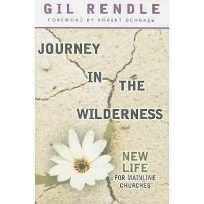 Journey in the Wilderness - by  Gil Rendle (Paperback)