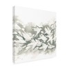 Trademark Fine Art - June Erica Vess  Carbon Flock I Canvas Art - 4 of 4