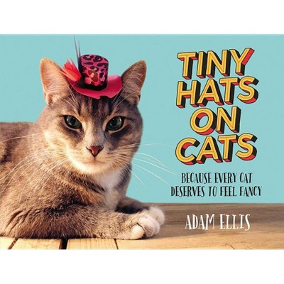 Tiny Hats on Cats - by  Adam Ellis (Hardcover)
