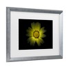 Trademark Fine Art - Brian Carson Backyard Flowers 78 Matted Framed Art - 3 of 4