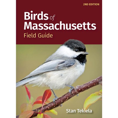 Birds Of Massachusetts Field Guide - (bird Identification Guides) 2nd ...