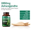 Organic Ashwagandha Capsules 2100mg Supplement w/ Black Pepper Root Powder - 60 Capsules By Nature's Nutrition - 4 of 4