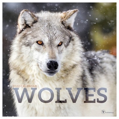 2022 Wall Calendar Wolves - The Time Factory