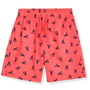 Blue Horizon Swimwear Boys Swim Trunks – Fun Printed Youth Quick Dry Kids Bathing Suit Shorts for Boys - 1 of 3
