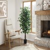 GlasFlength Artificial Plants Artificial Rubber Tree Artificial Ficus Tree Faux Plants for Indoor Home Decoration, Green, 32"*32"*58" - 2 of 4