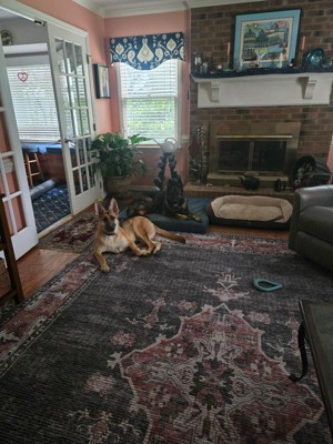 Guest review image 1 of 1, zoom in