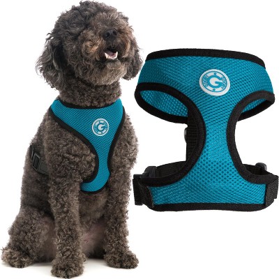 Gooby Soft Mesh Harness, Small Dog Harness with Breathable Mesh, Turquoise, Medium