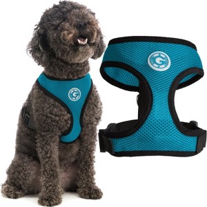 Gooby Soft Mesh Harness, Small Dog Harness with Breathable Mesh, Turquoise, Medium - 1 of 1