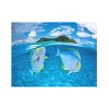 Trademark Fine Art Barathieu Gabriel Dussumiers Surgeonfish Wood Slat Art - 3 of 4