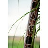 MEINL Sonic Energy Bamboo Rainstick - 3 of 4