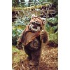 Trends International Star Wars: Return of the Jedi - Wicket W. Warrick Unframed Wall Poster Prints - 4 of 4