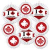 Big Dot of Happiness Canada Day - Hanging Canadian Party Tissue Decoration Kit - Paper Fans - Set of 9 - 2 of 4