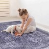LunaLulinlk Anthracite Washable Rug 5x8 Area Rug (Anthracite, 5' x 8') - 3 of 4