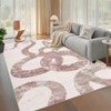 Luxury Modern Area Rug Ultra Soft Non Slip Stain Resistant Indoor Mat Machine Washable Low Pile Abstract Carpet - 3 of 4