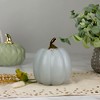 Northlight 7" Gray and Gold Fall Harvest Ceramic Pumpkin Decoration - 2 of 4