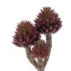 Succulent Plant Pick (Set of 6) - 2 of 3