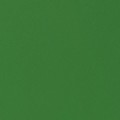 parrot green