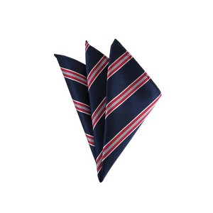 TheDapperTie - Men's Stripe Woven 10 Inch x 10 Inch Pocket Squares Handkerchief - 1 of 3