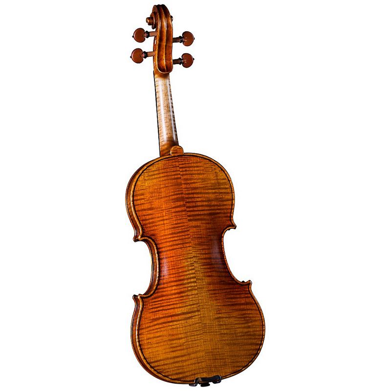 Cremona SV-800 Series Violin Outfit 4/4 Size, 2 of 4