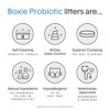 Boxiecat Probiotic 40 Day Odor Control Clumping Clay Cat Litter - 4 of 4