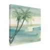 Trademark Fine Art -Chris Paschke 'Peaceful Dusk I Tropical' Canvas Art - 4 of 4