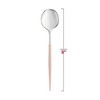 Smarty Had A Party Silver w/ Pink Handle Plastic Dinner Spoons - 480 pcs - 3 of 4