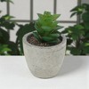 Unique Bargains Artificial Plants Plastic 2.76"x2.76"x3.15" 1Pc - 2 of 4