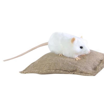 hansa white german mouse