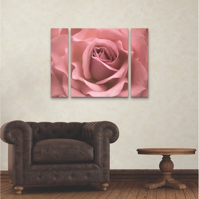 Pink Rose Botanical Mixed Media Canvas Art Set