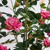 HomeStock  4 ft. Artificial Rose Tree in Pot for Indoor/Outdoor - 3 of 4