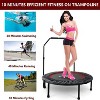 BestParts 40'' Fitness Trampoline with Adjustable Handle – Foldable Indoor & Outdoor Rebounder - 3 of 4