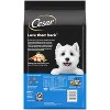 Cesar Rotisserie Chicken Flavor Small Breed Dry Dog Food - 2 of 4