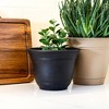 The HC Companies Sierra Round Self-Watering Pot, Plastic Stoneware Planter with Internal Disk for Indoor and Outdoor Plants, 10 Inch, Black Onyx - 2 of 3