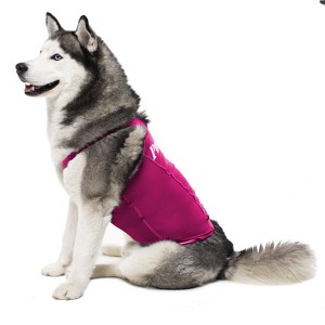 PRODOGG™ ANTI-ANXIETY COMPRESSION SHIRT FOR 3XL-5XL 159101C - 1 of 4