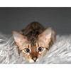 PAW BRANDS CatNap Anti-Scratch & Waterproof Luxury Throw Blanket - 3 of 4