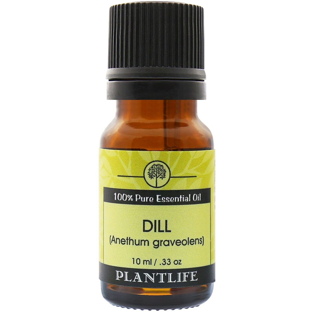 Plantlife Dill Aromatherapy Essential Oil – 100% Pure, Therapeutic Grade, No Additives or Fillers, 10 ml