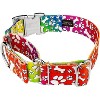 Country Brook Petz HossFit Jr Wide Martingale with Premium Buckle - Groovy Collection - 2 of 4