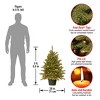 3' Prelit Hampton Spruce Artificial Christmas Tree Clear Lights - National Christmas Tree Company - 4 of 4