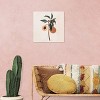iCanvas Peach Branch by Bria Nicole Canvas Print Wall Art - 3 of 3